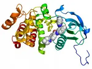 Adipotide Peptide Structure, buy adipotide for sale online